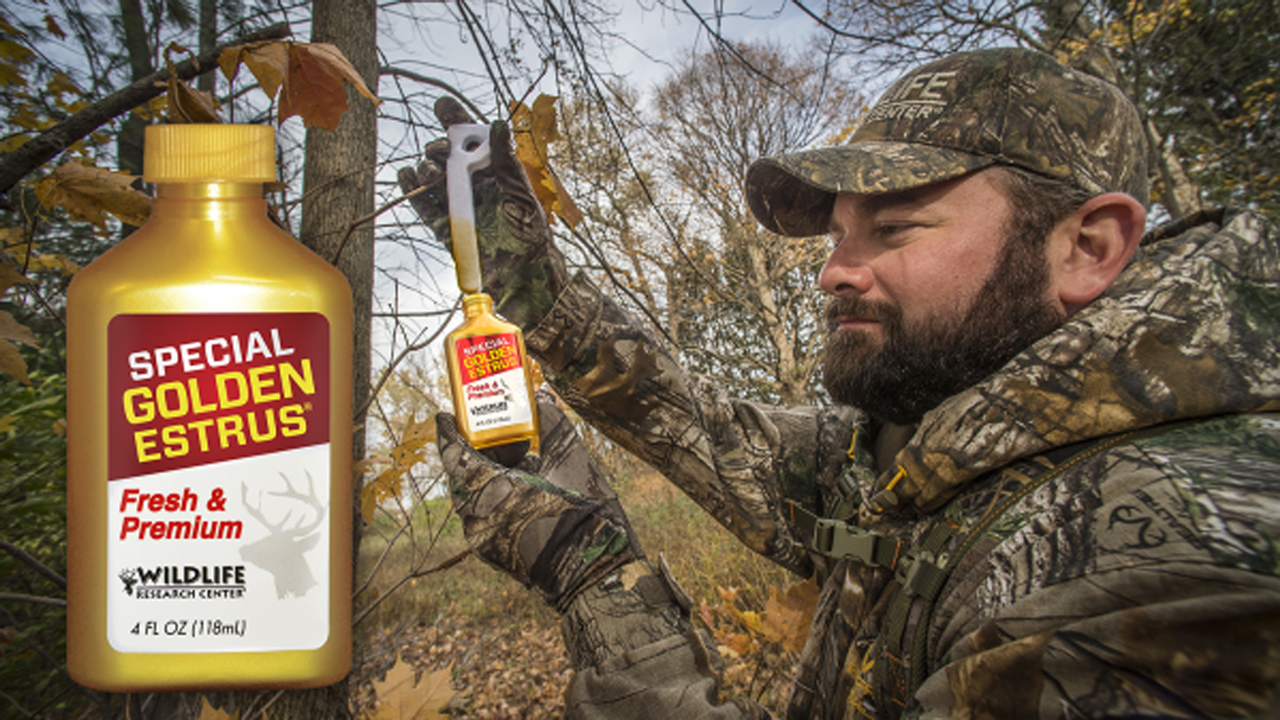 should deer urine for hunting be banned to help slow the spread of CWD?wildlife research center 