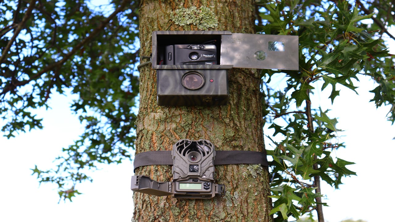 trail cameras then and now