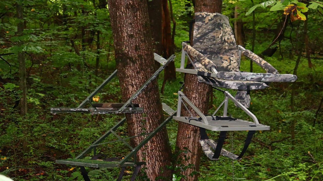 treestands then and now