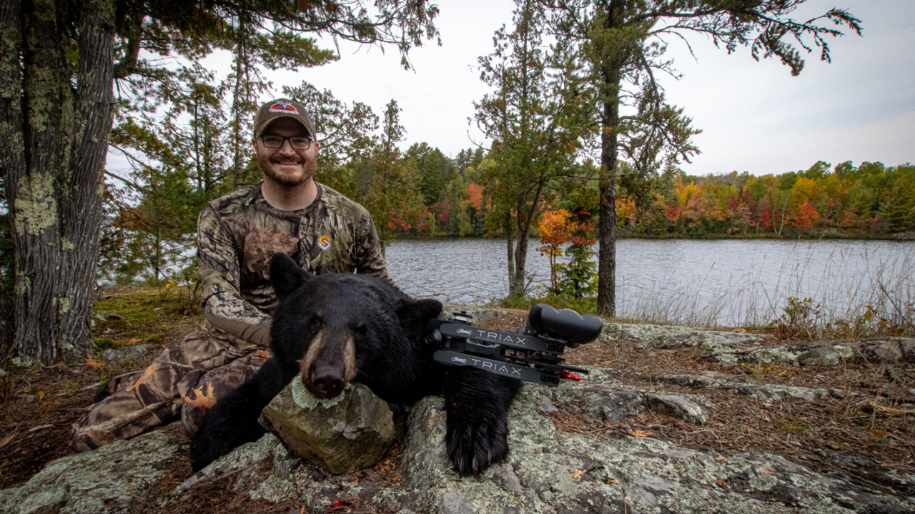 bowhunting black bear in Minnesota -Bear