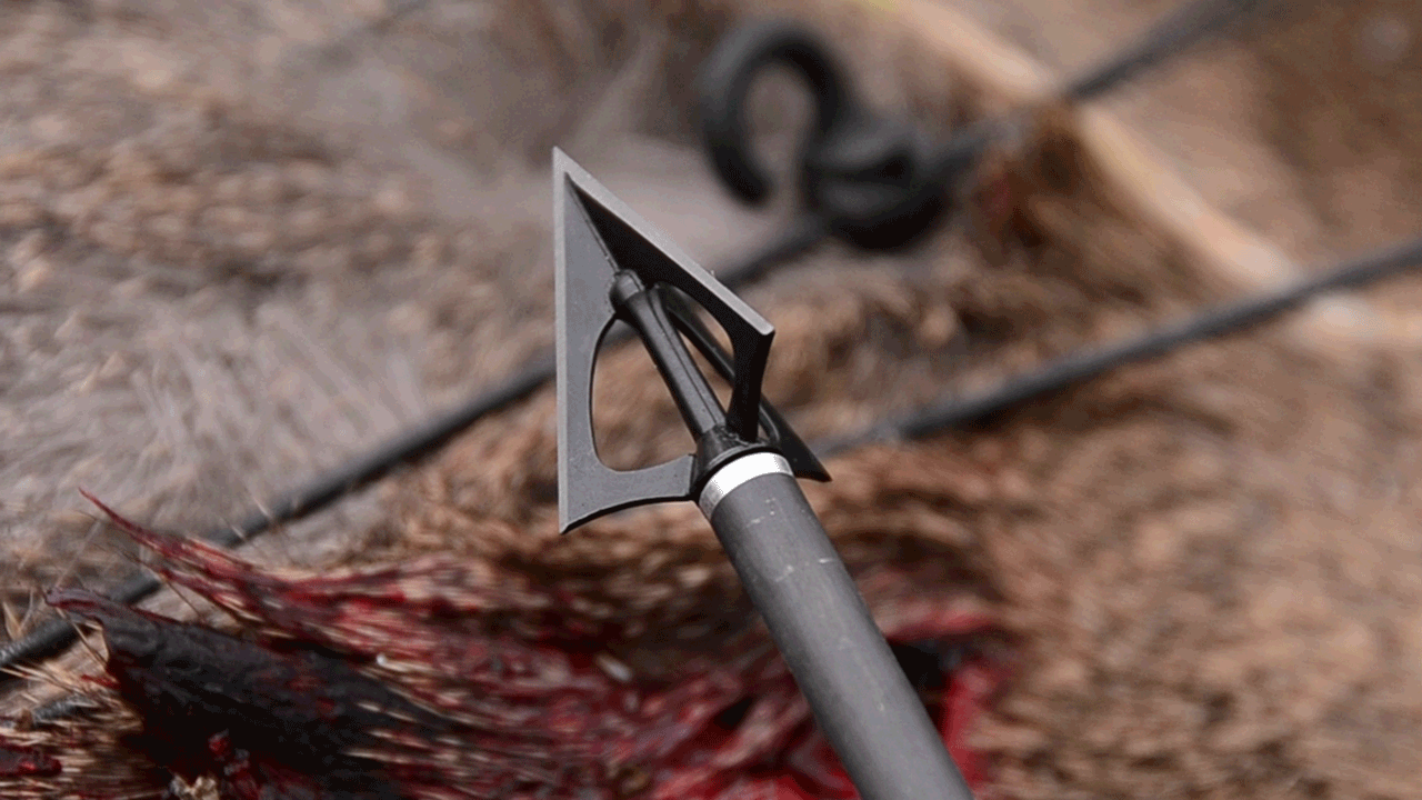 nap broadhead