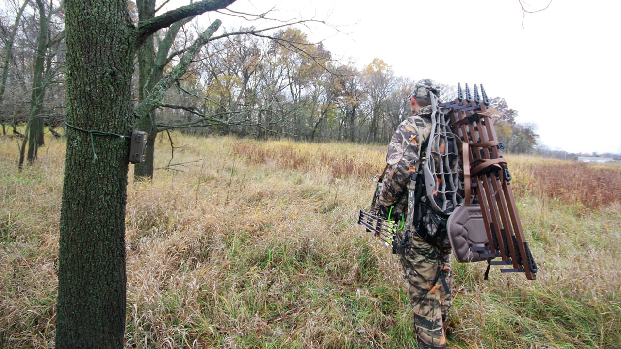 Lone-Wolf-Hunter-Walking