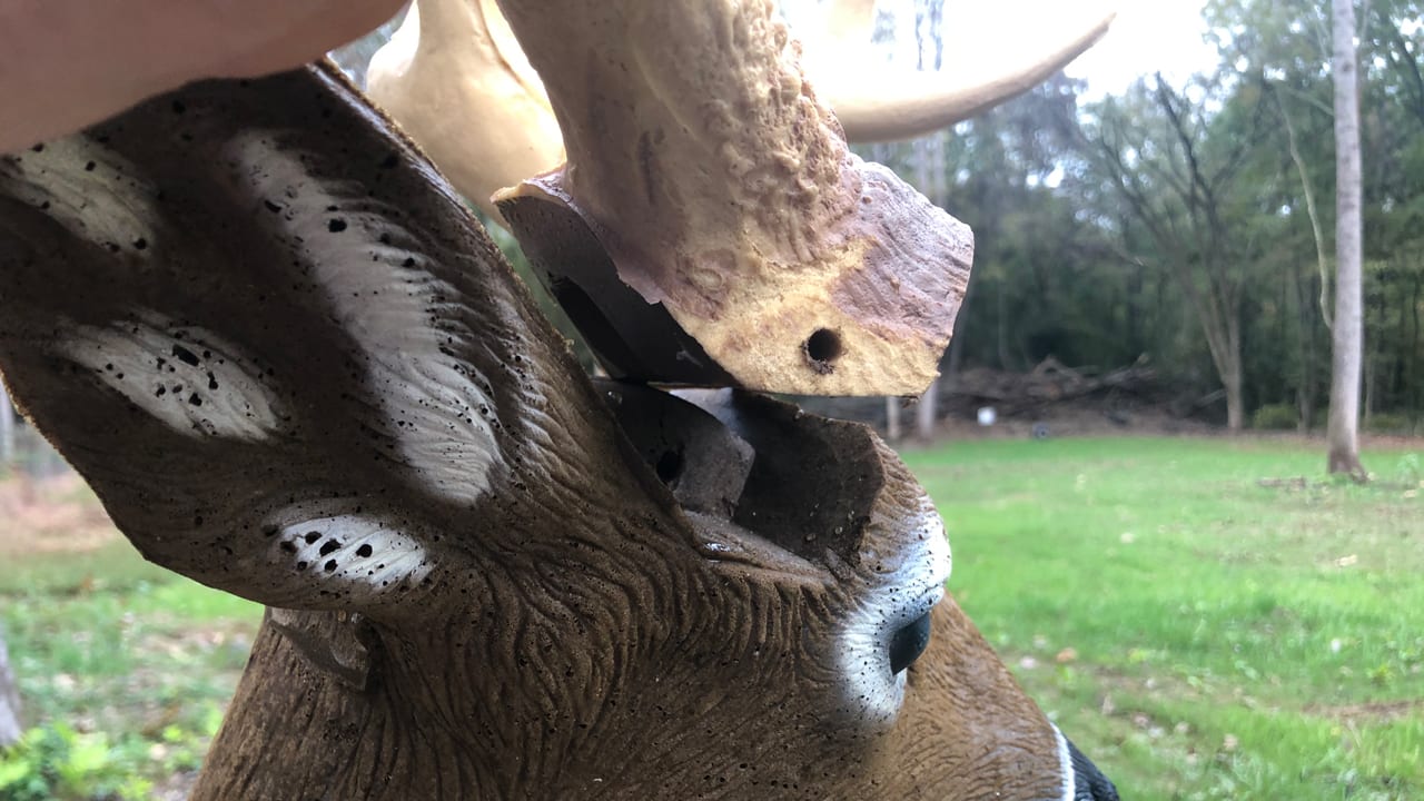 rinehart-antlers