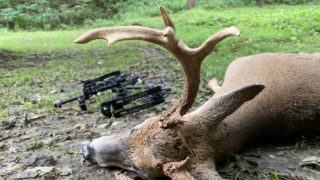 sick-buck-4