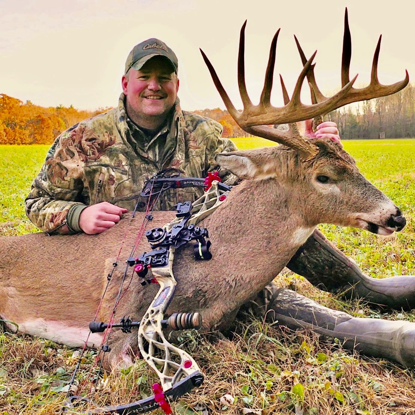 167 Whitetail Deer in Wisconsin by Brandon Ripp