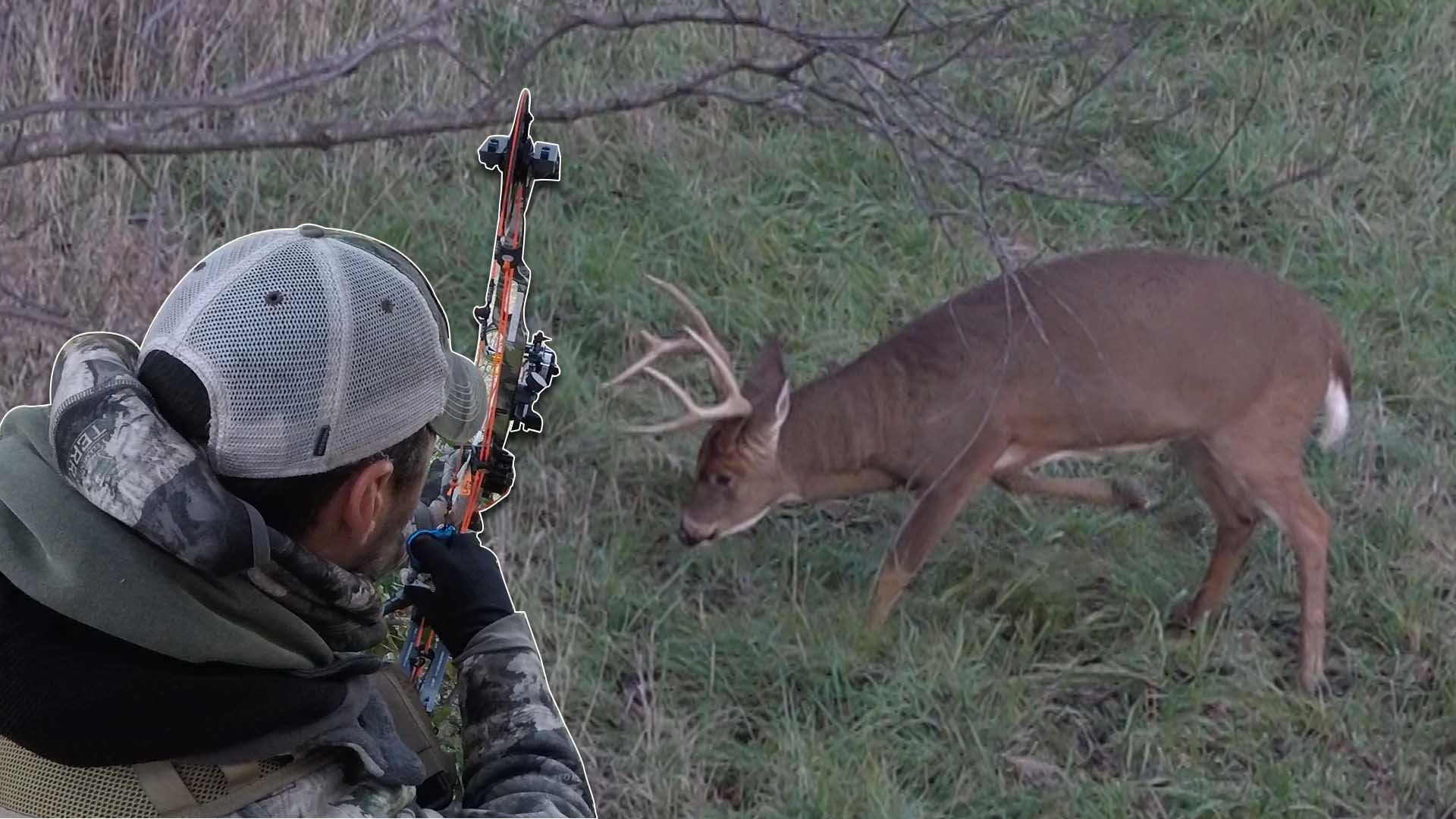 Видео hunting