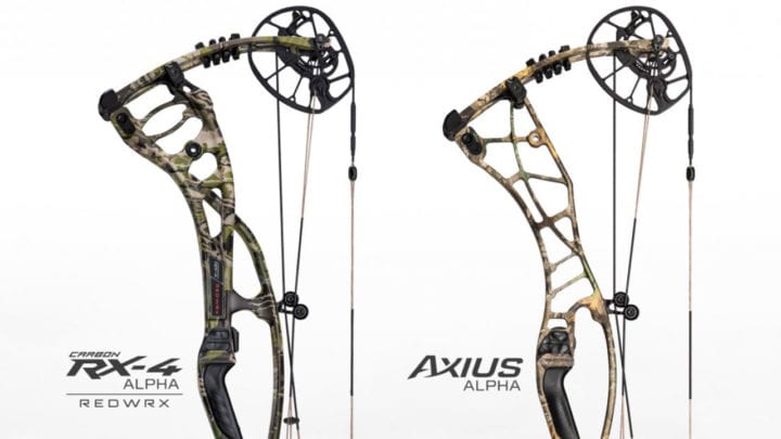hoyt-pair-2020