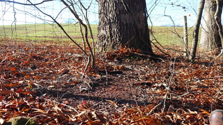 hunting the late season field