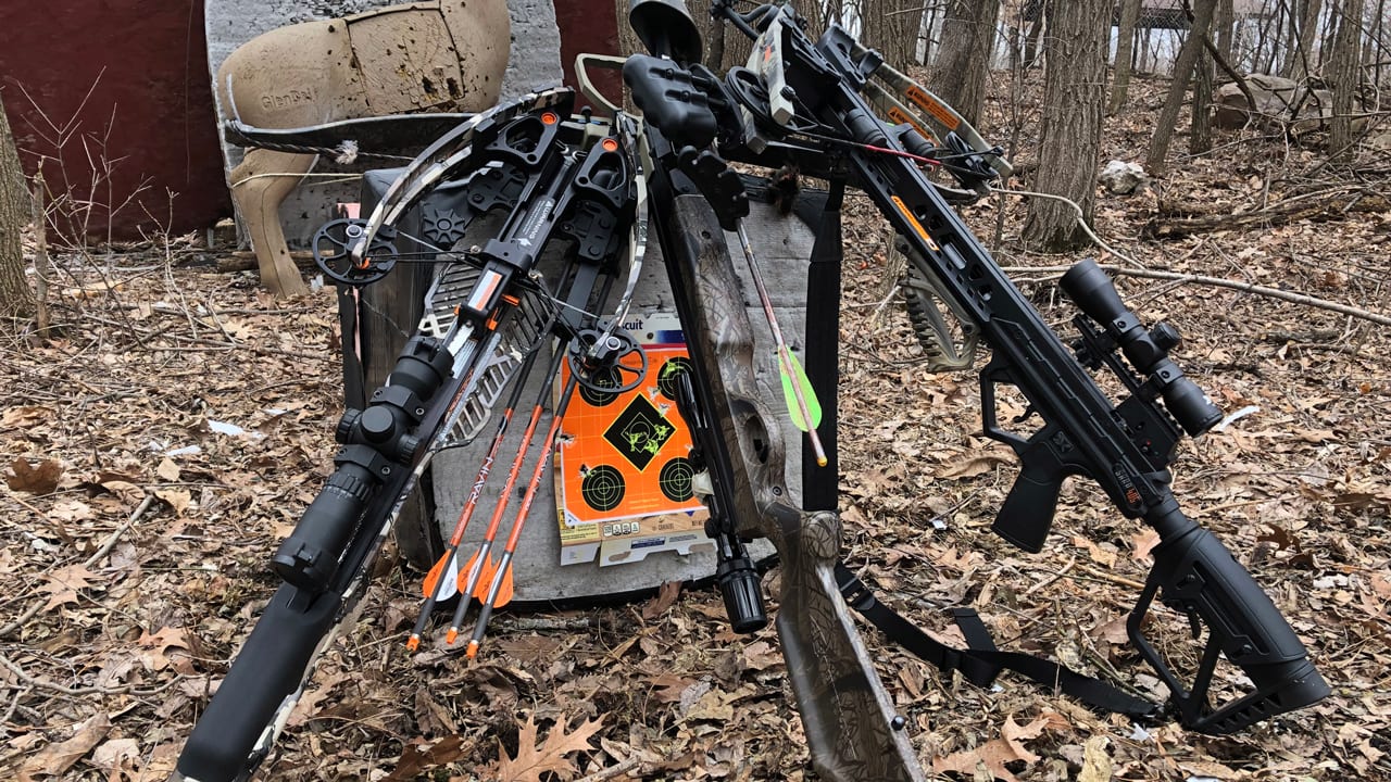 Crossbow-Study-Bows - are crossbows to blame for the deer hunting decline