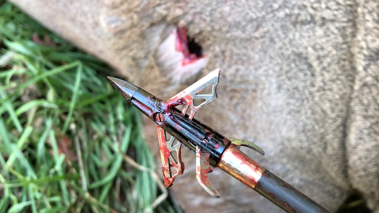 Nap broadheads online