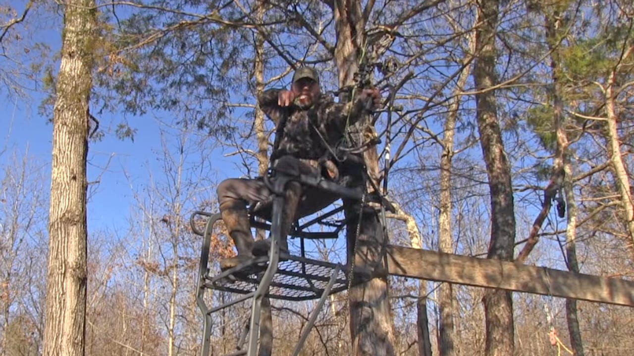 Treestand - Late Season Bowhunting Practice [Video]