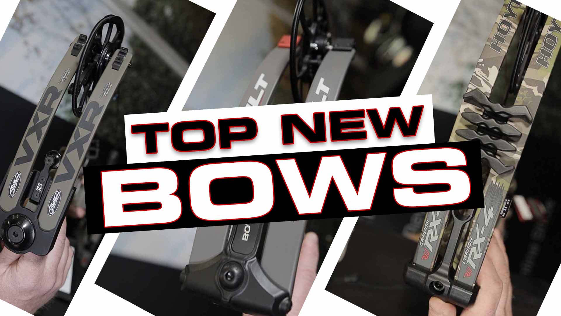 Best New Bows for 2020