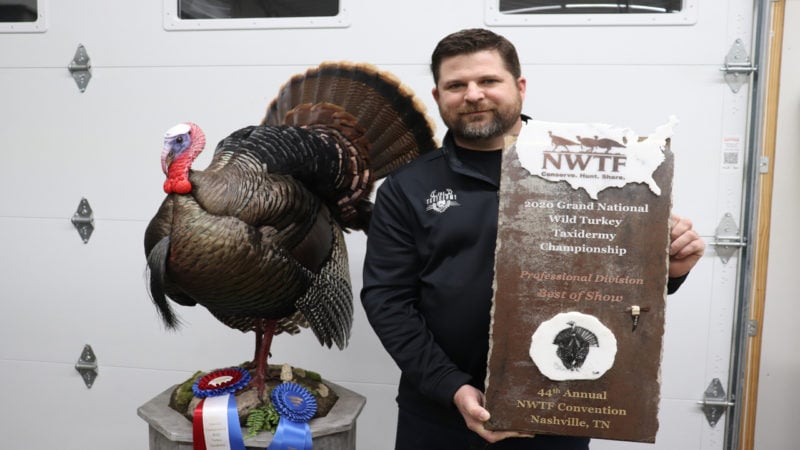 In The Field Tips For A Better Turkey Mount From The Taxidermist