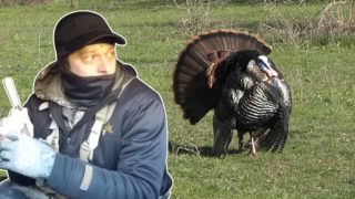 Quarantine Turkey Hunting