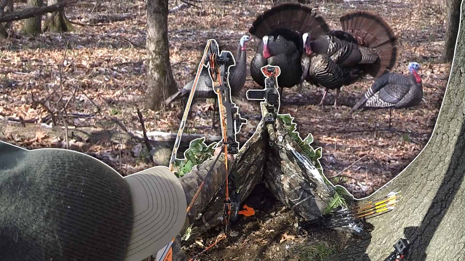 Run and Gun Bowhunting Turkeys With DIY Blind