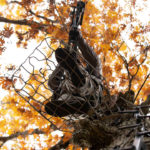 How To Survive A Treestand Accident