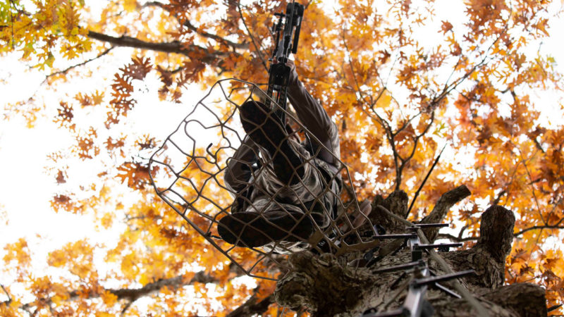 How To Survive A Treestand Accident
