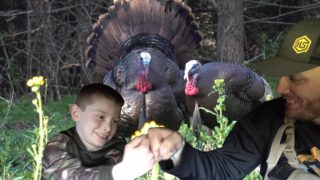 Last Chance Spring Turkey Bowhunt