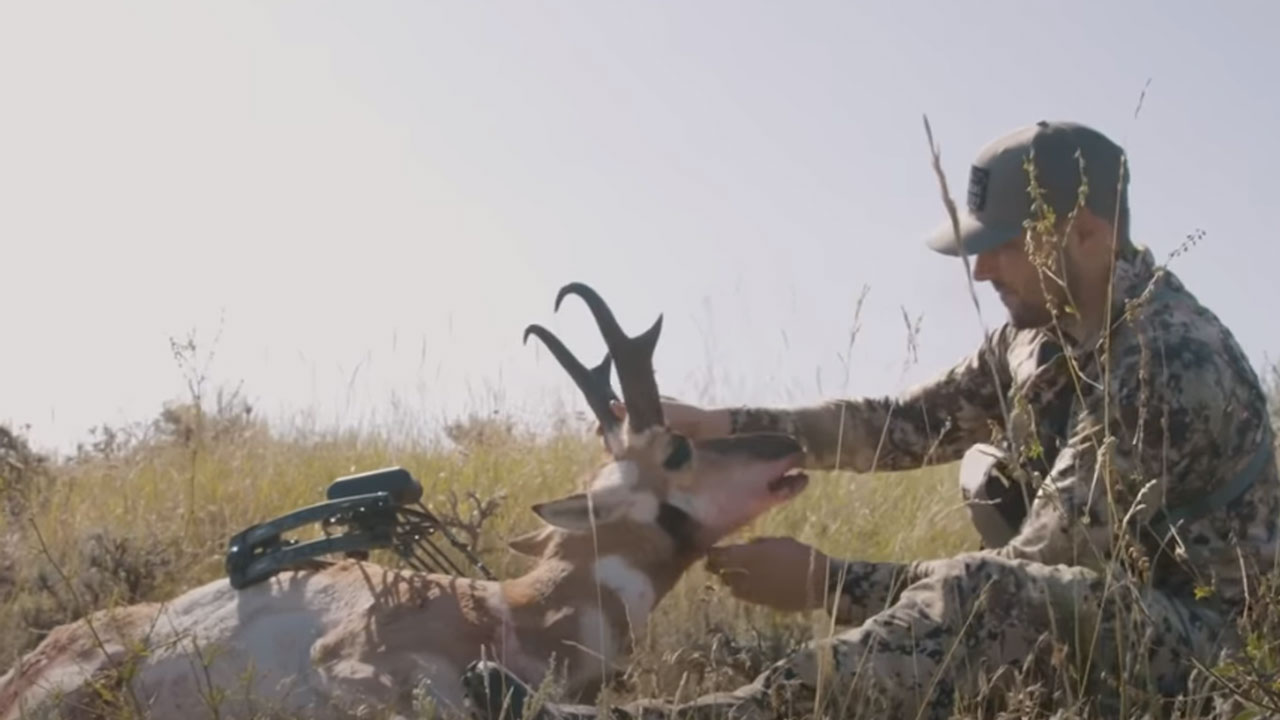 Hunting Antelope In Montana: The Proving Ground