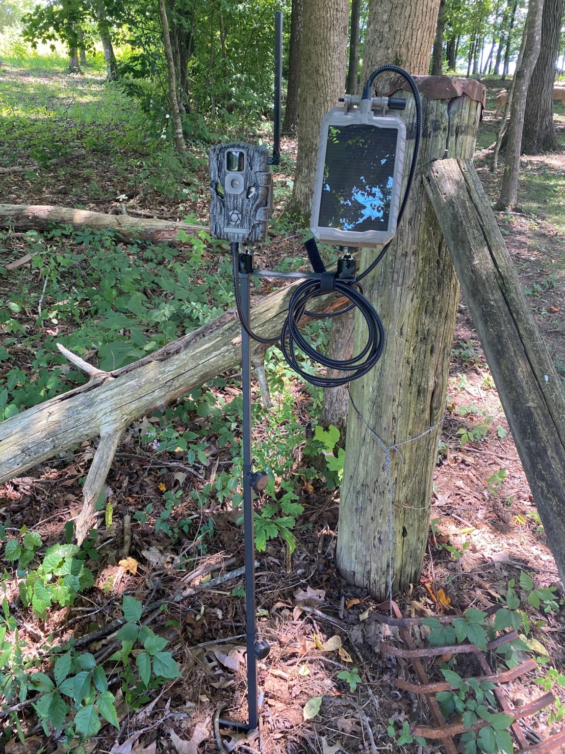 Stealth Cam Fusion Cellular Trail Camera Review