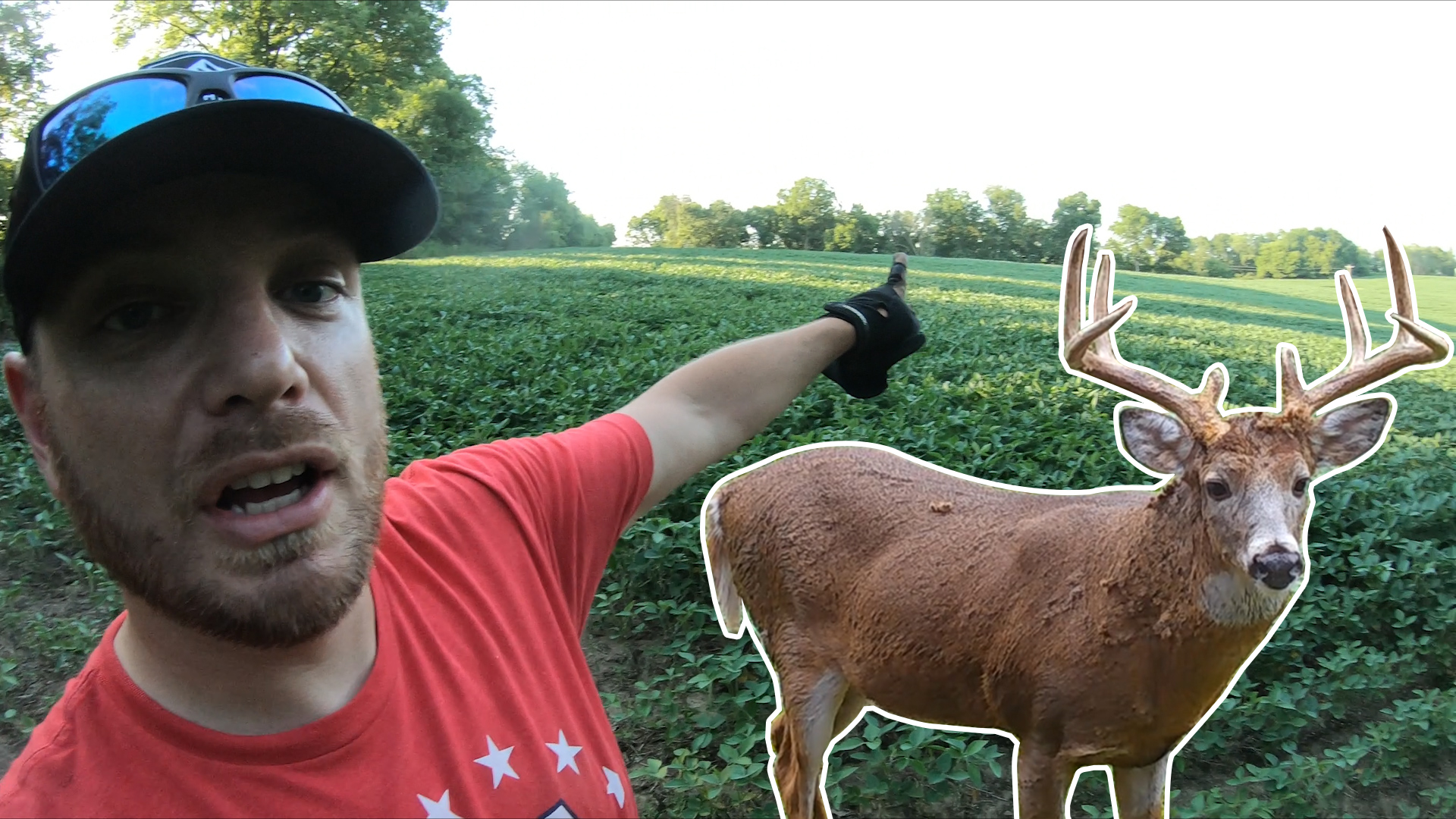 Deer Hunting Prep Food Plot & Stand Locations EXPLAINED!