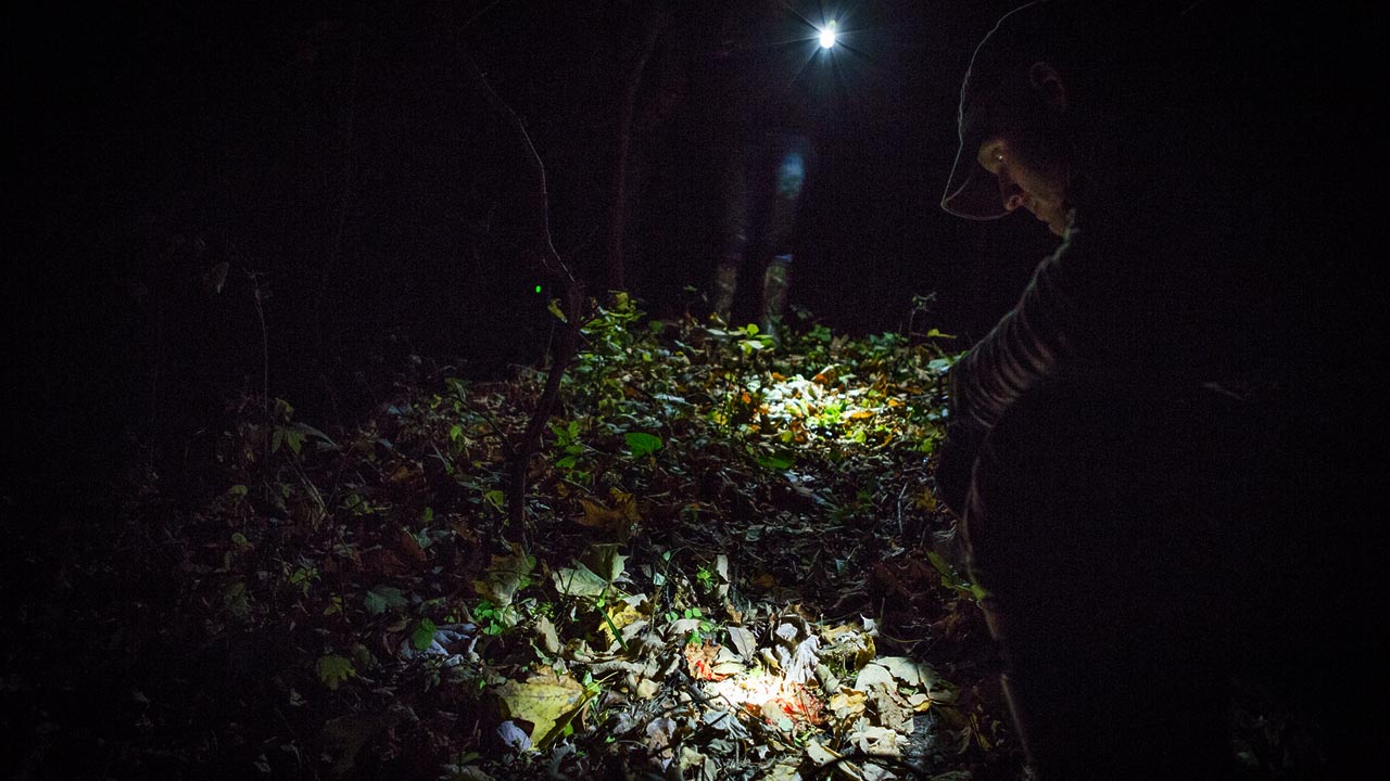 blood trailing a deer at night with flashlights