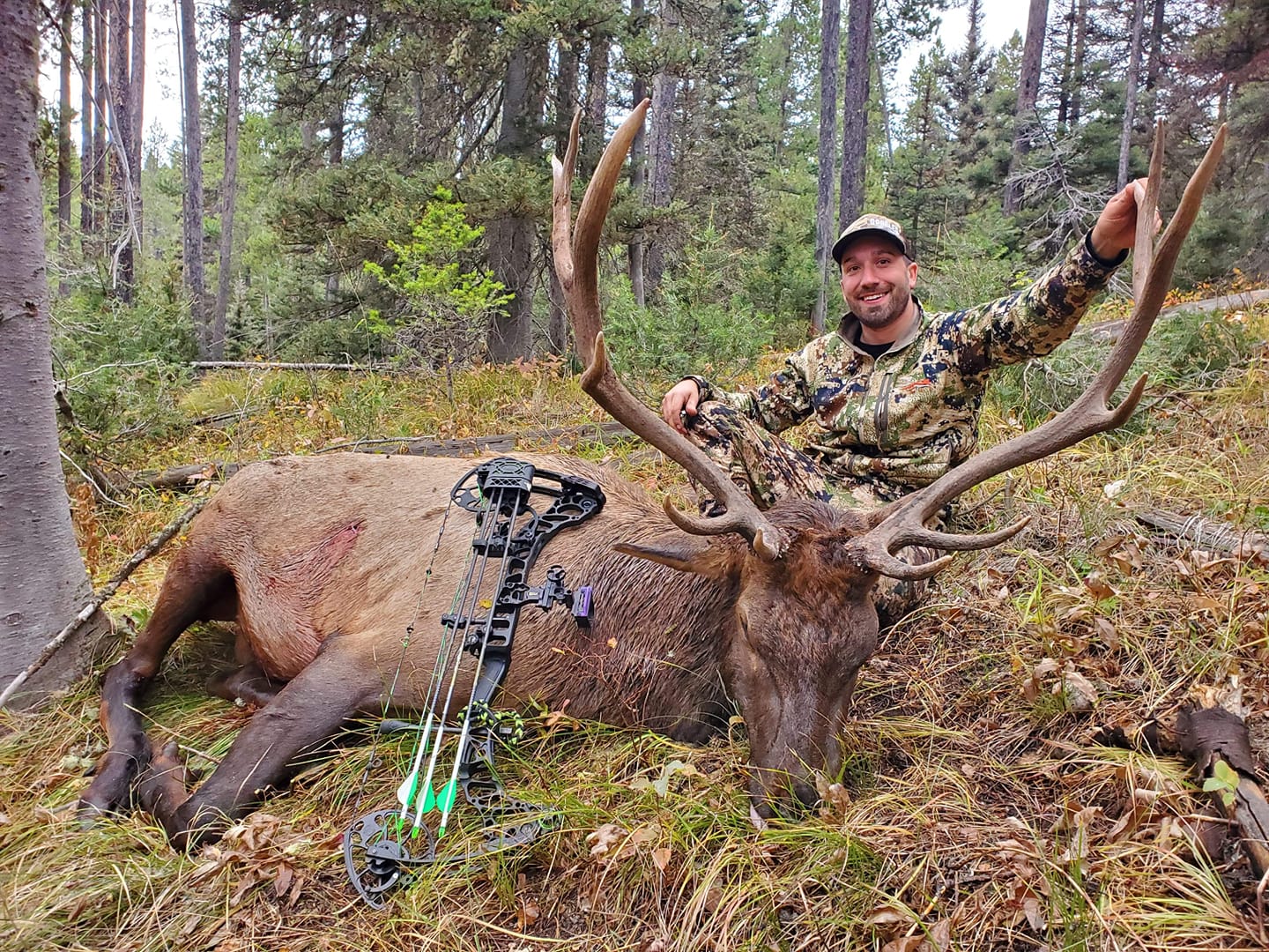 270 Elk in Unit 61, IDAHO by Dan Herbst