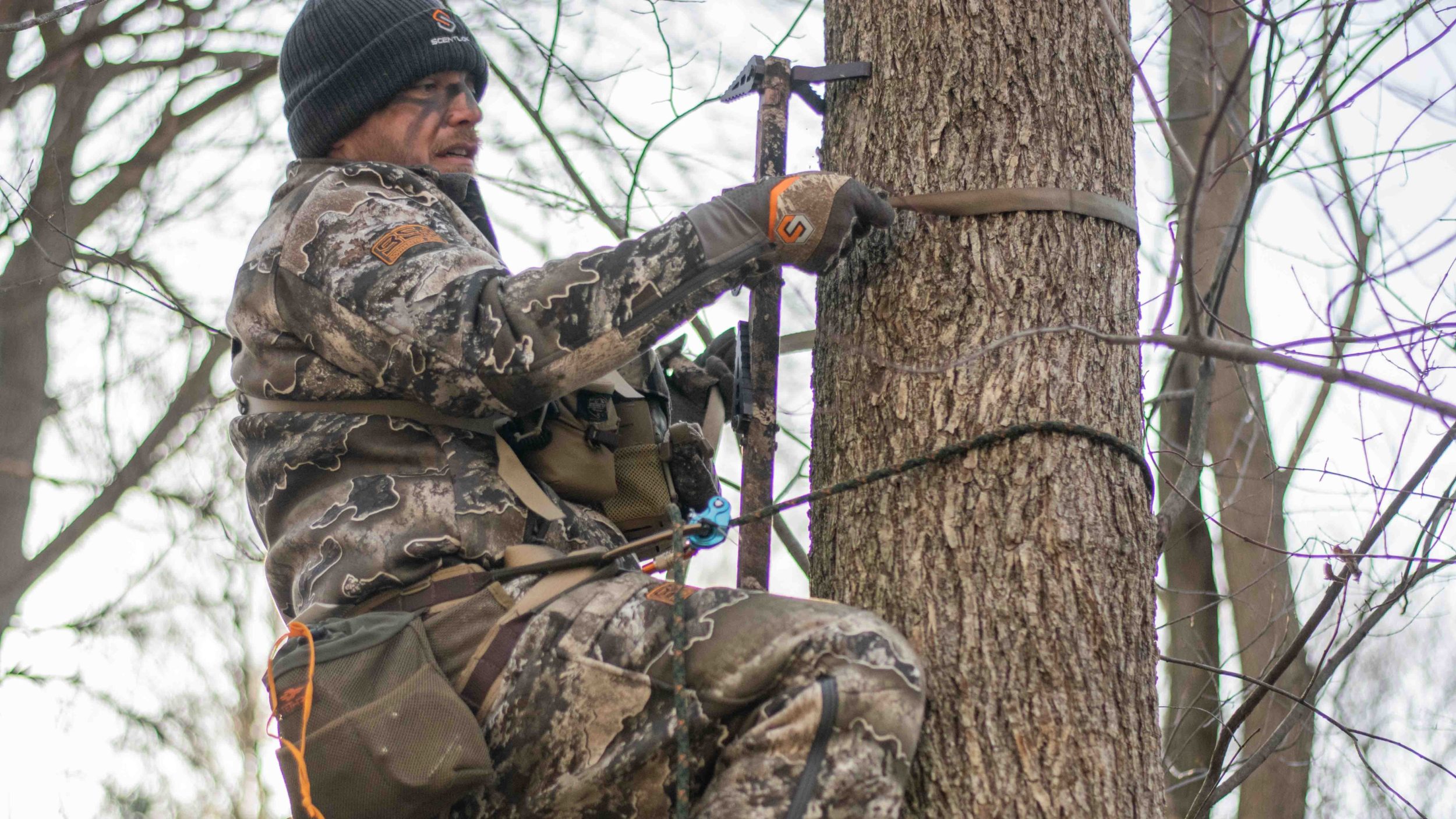Deer Hunting Failures That Lead To Unfilled Tags In The Late Season
