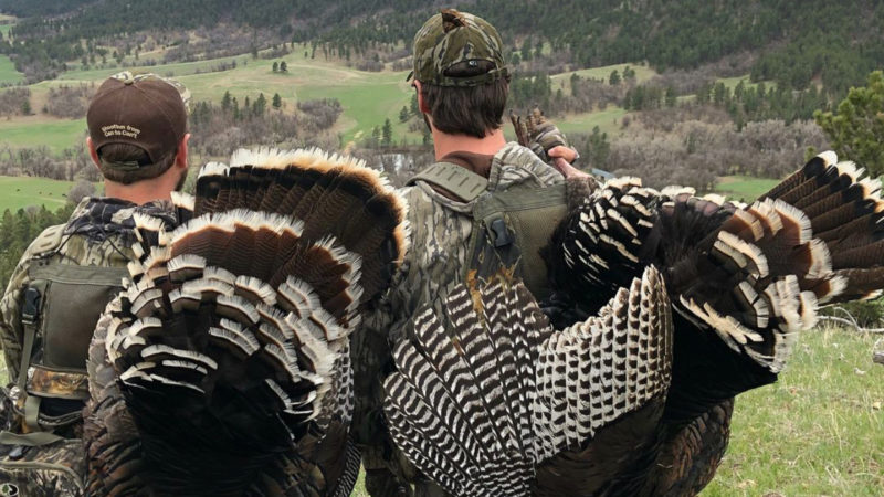 Head Or Leg, What's The "proper" Way To Tote Your Turkey?