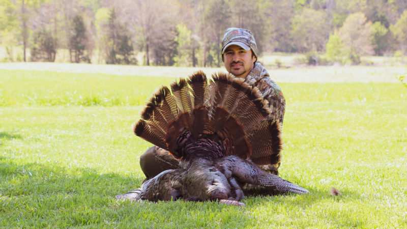 When Should Turkey Hunters Be More Aggressive?