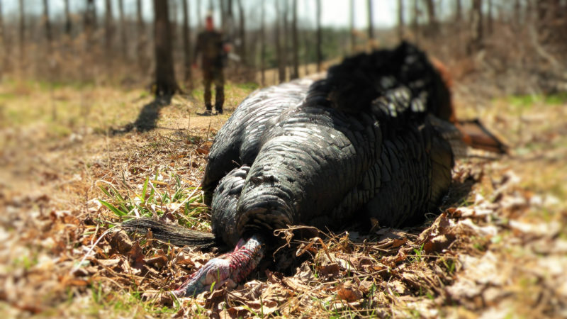 Public Land Etiquette