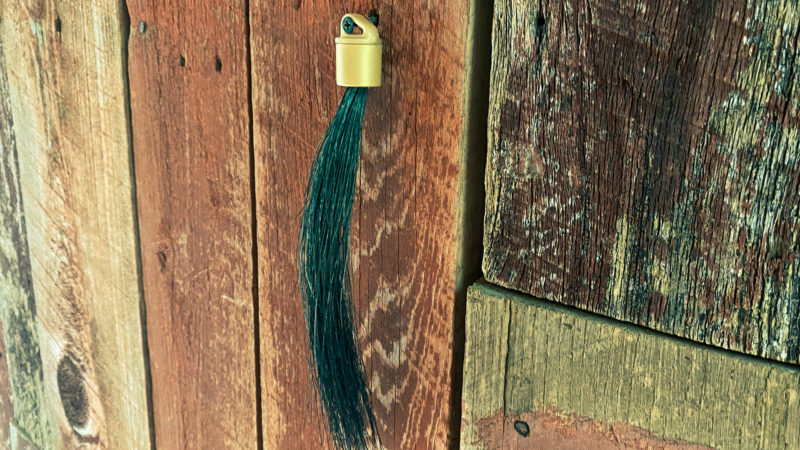 How Do You Hang Your Turkey Beards?