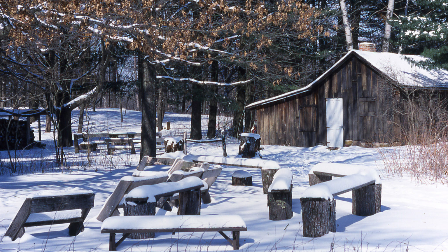 Bowhunting History Where Modern Bowhunting Got its Start