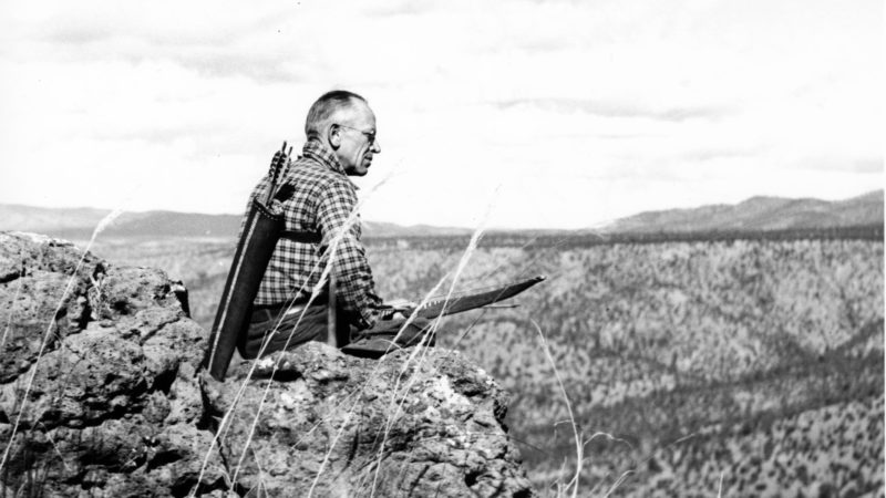 Bowhunting History: Where Modern Bowhunting Got Its Start