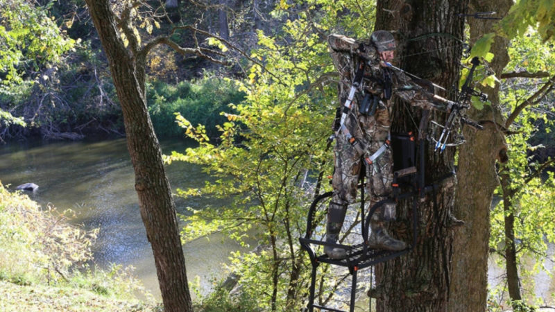 Treestand Basics: 4 Styles Every Hunter Should Know