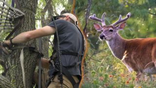 What You Can Do Right Now To Be Successful This Deer Season