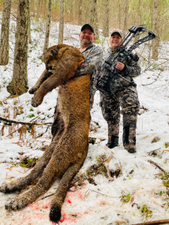 Bowhunting Mountain Lions In Montana