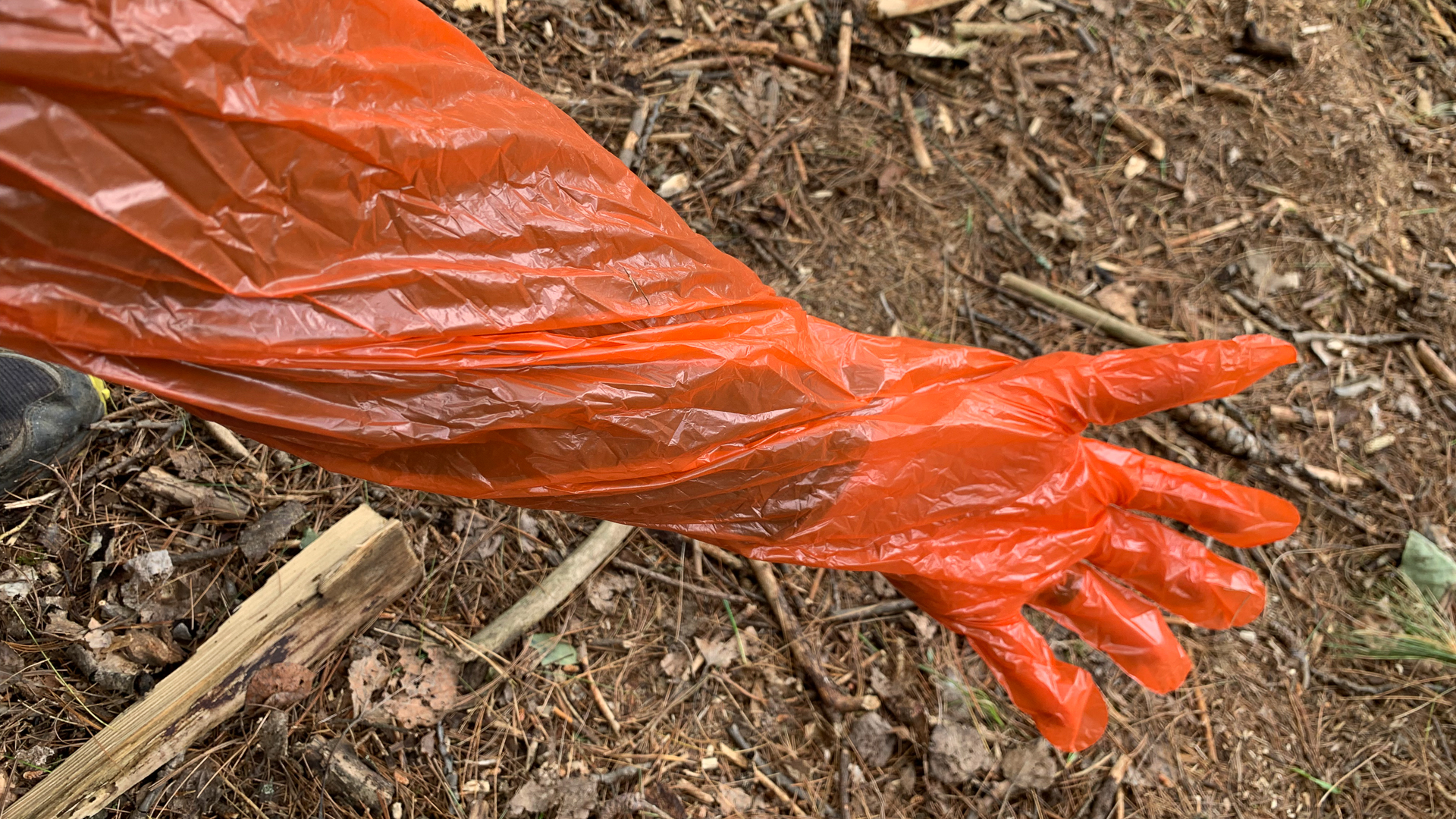 How to Field Dress a Deer