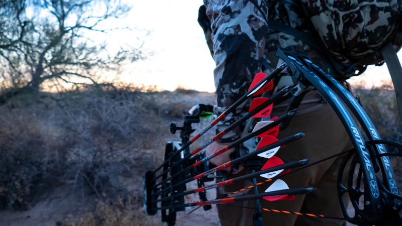 How Many Arrows Do You Need In The Quiver?