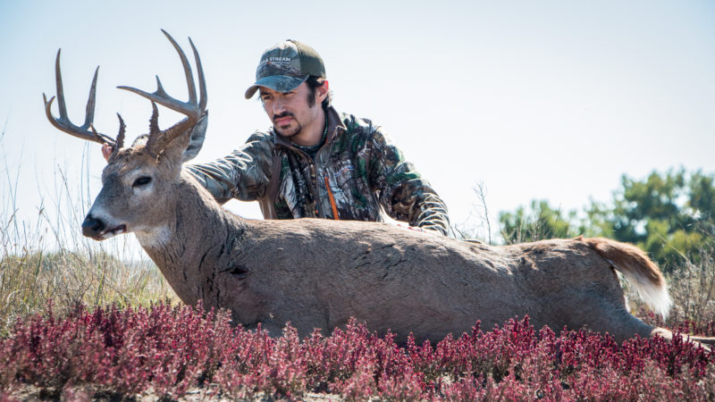 The 7 Most Underrated Whitetail States