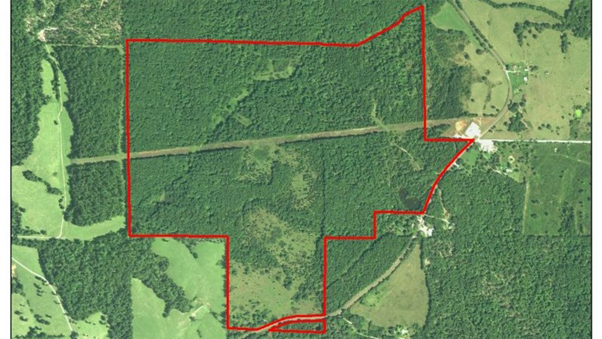 Great Hunting Lease In Dent County, Missouri
