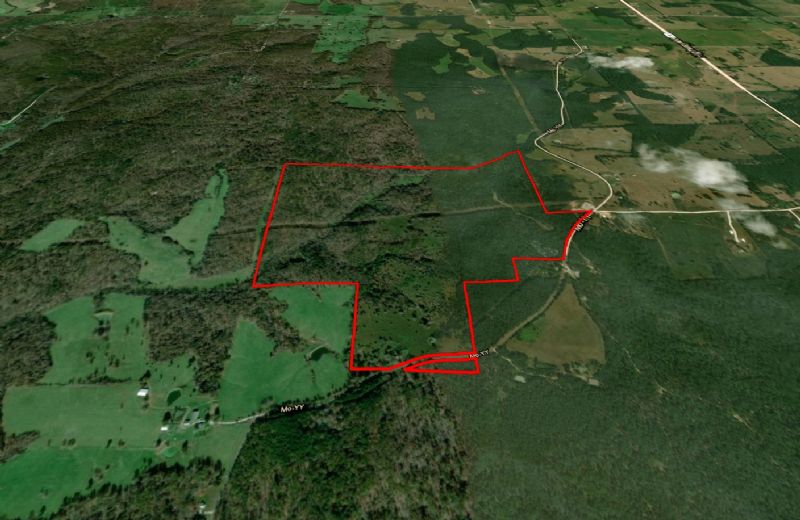 Great Hunting Lease in Dent County, Missouri