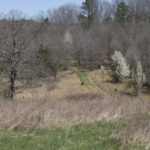 Img30274
