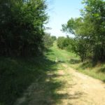 Great Iowa Lease Available Through Hunting Lease Network