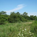 Great Iowa Lease Available Through Hunting Lease Network