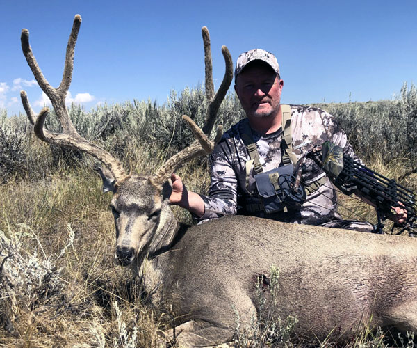 Bowhunter with velvet mule deer buck in Wyoming