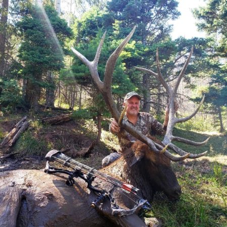 Bull Elk Shot Twice And Doesn't Flinch