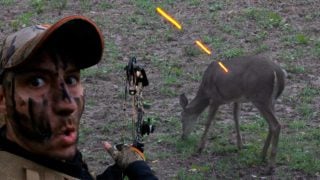 Trophy Doe Down In Illinois