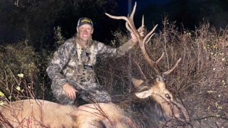 Bull Dropped In Its Tracks! Bowhunting Colorado Elk Pt. 2