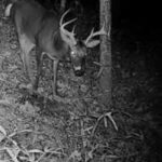 Using M.r.i. To Kill Your Buck In The Next 24 Hours